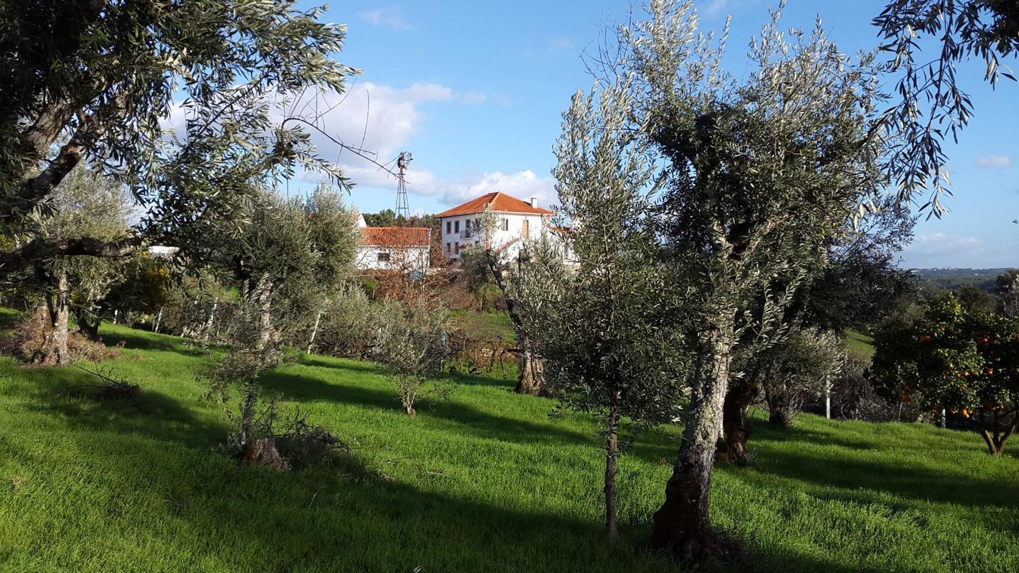 Quinta Quatro Ventos Bed & Breakfast Serta Exterior photo
